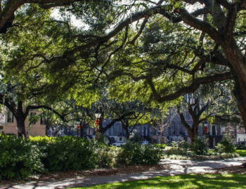 Savannah Summer 2025 Events