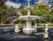 Top 3 Savannah Parks to Visit
